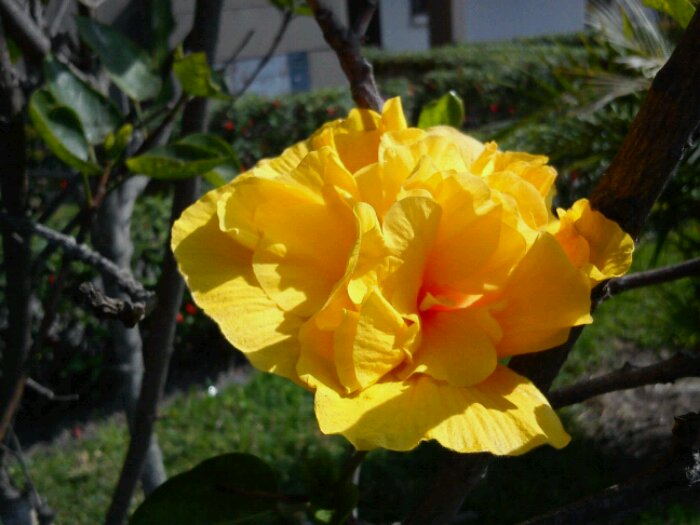 1340739178466.jpg image