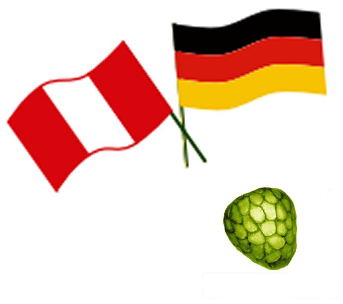 Peru _Reisen_Bild_Logo