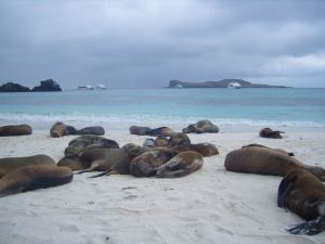 Faszination_Insel_Galapagos-6