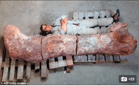LargestdinosaurArgentina