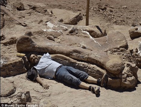 LargestdinosaurArgentina