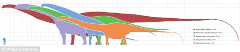 LargestdinosaurArgentina