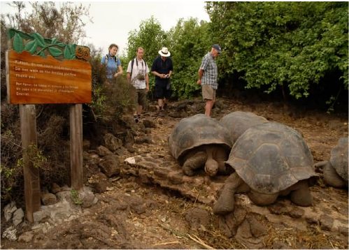 Charles Darwin Forschungsstation