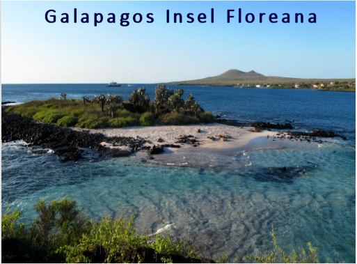 Insel Florena Galapagos
