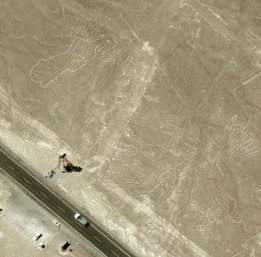 Nasca Linien - und Figuren