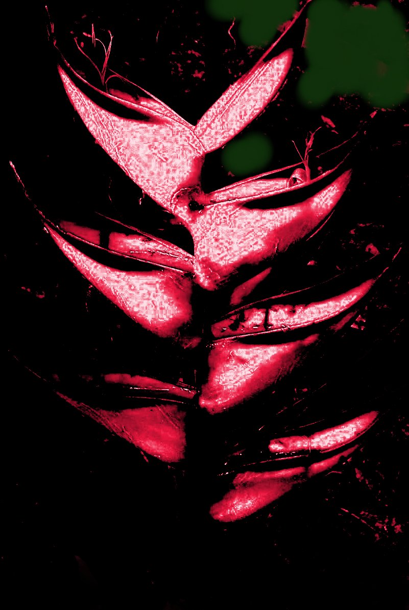 art-from-amazon-nature