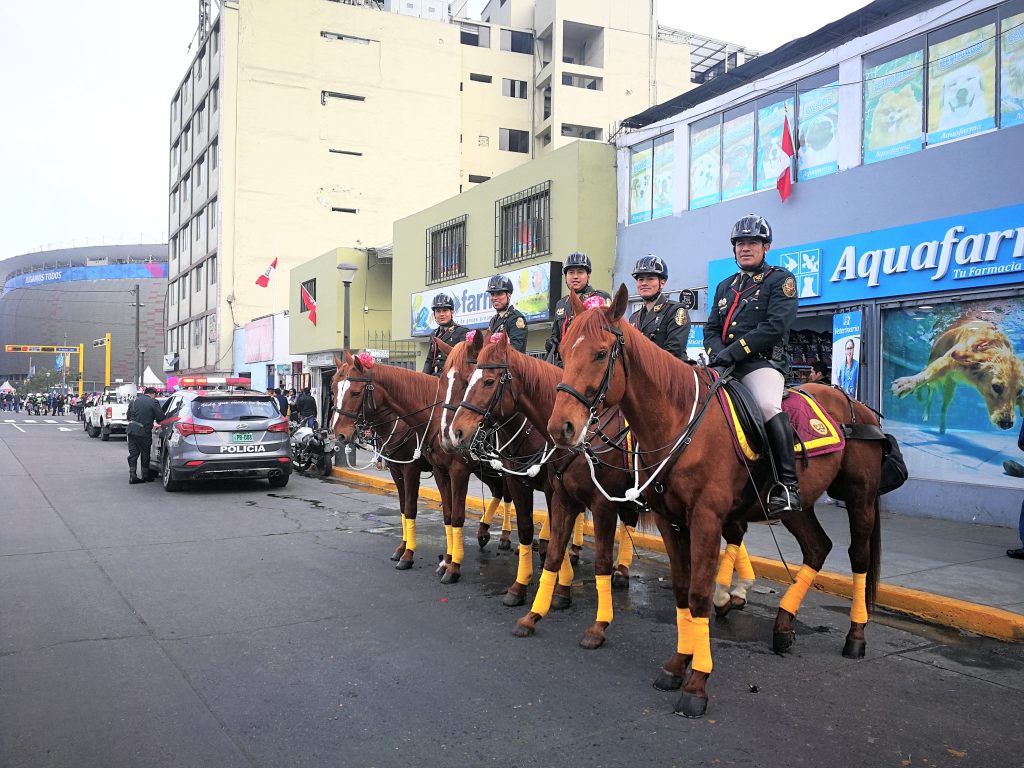 Panamerikanische_Spiele_Polizeipferde