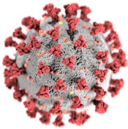 Covid-19 Coronavirus