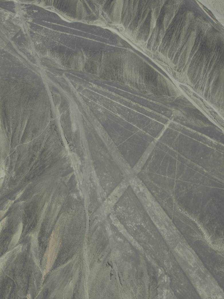 Nascalinien und geometrische Flaechen.