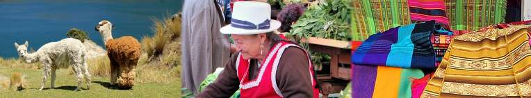 Ecuador Reise Headergrafik