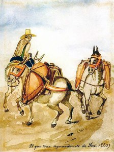 Historischer Pisco Transport bei Ica