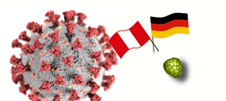 Corona Peru Chirimoya Tours