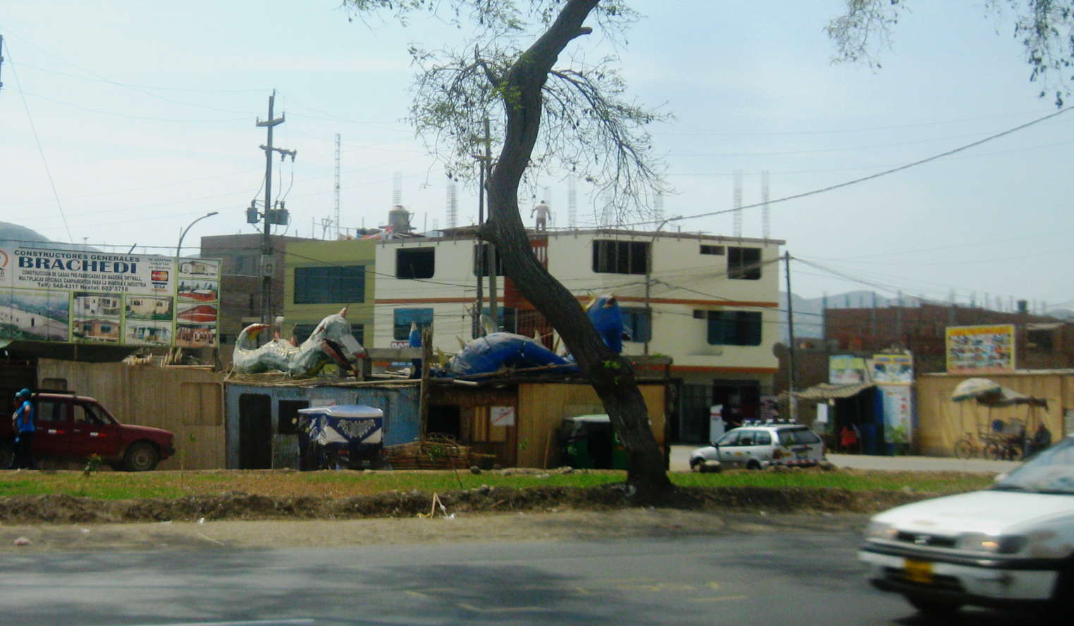 Drache auf dem Dach Lima.