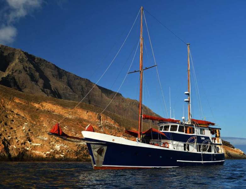 Samba Last Minute Galapagos